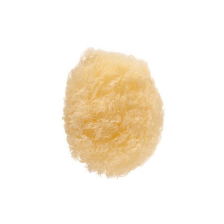 ESPONJA NATURAL DESMAQUILLATGE