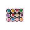 FLORES SEQUES PER A NAIL ART 12 UNITATS