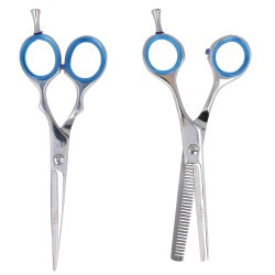 ESTOIG ACADÈMIA 2 TISORES BRILLANTS MICRO DENTADES