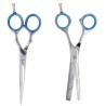 ESTOIG ACADÈMIA 2 TISORES BRILLANTS MICRO DENTADES