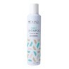 XAMPÚ SEC TASSEL 300ML