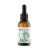 OLI ESSENCIAL SÀLVIA 30 ML
