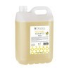 XAMPÚ PLÀTAN 5L