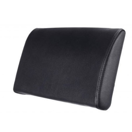 COIXÍ LUMBAR BUDDY