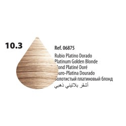 DOUSSE 10.3 RUBIO PLATINO DORADO - TINTE TASSEL (06875)