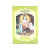 Radhe Shyam Henna En Pols Neutre 100G