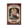 Radhe Shyam Henna En Pols Katam 100G