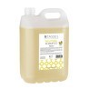 CHAMPU PLATANO : Volum - 5 L