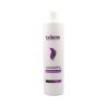 Exitenn Champú Prevención Caída 500 Ml