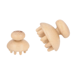 CHAMPIÑON REDUCTOR
