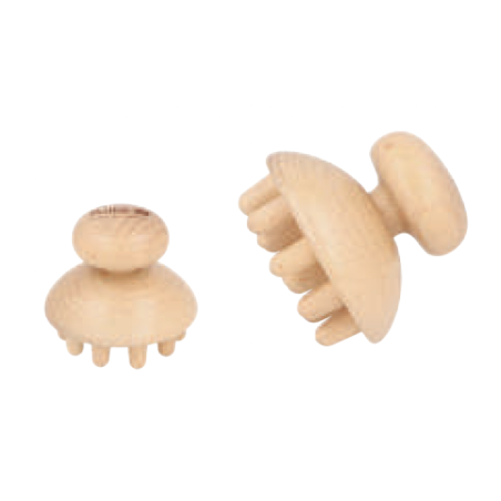 CHAMPIÑON REDUCTOR