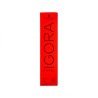 Schwarzkopf Igora Royal 60ml  Color 8-77