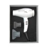 Parlux Secador Digitalyon Plata