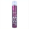 Salerm Proline 03 Express Laca 500 ml (Efecte Sec)