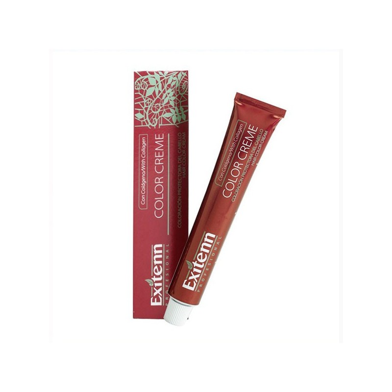 Exitenn Color Creme 60ml Color 12 0.86
