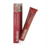 Exitenn Color Creme 60ml Color 7 6