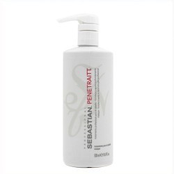 Sebastian Penetraitt Masque 500 Ml