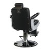Karl - Friseurstuhl von Barbershop Mirplay - 2