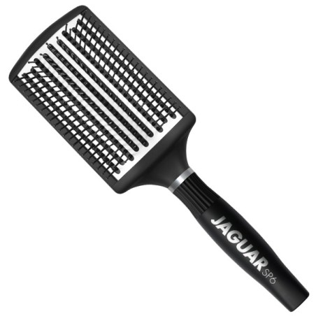 Raspall Jaguar SP6