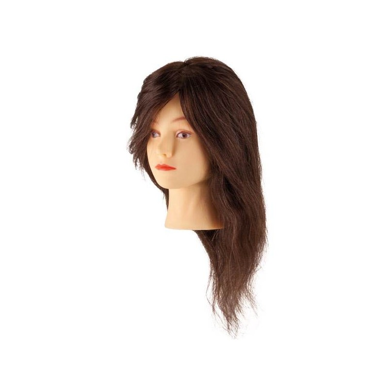 Testina da studio Steinhart 100% Capelli Umani Castano 45 cm