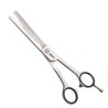 Ciseaux Jaguar White Line Silver Ice 46 6.5"