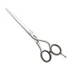 Tesoura Jaguar Silver CJ4 Plus 6"