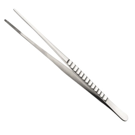 Pince inox usage general 26 cm
