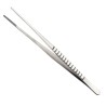 Pince inox usage general 26 cm