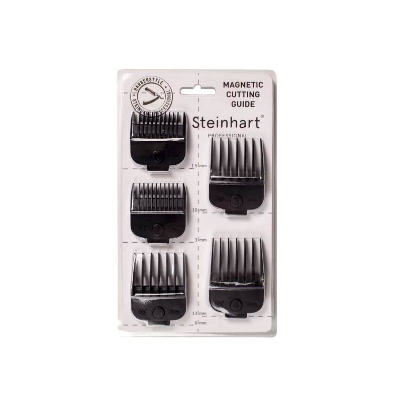 Set 5 Pintes Magnètiques Steinhart