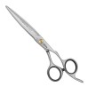 Tesoura Jaguar Pre Style Comfort Pro Slice 5.75