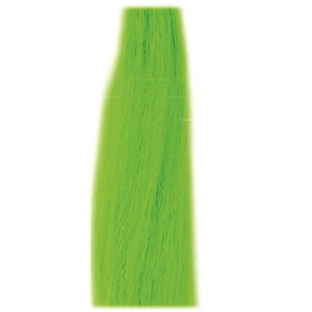 Extensions Stein Lisses Fibre Verte