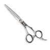 Forbice taglio 6.0" silver shark