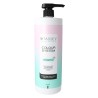 Système de couleurs shampooing 1 l