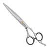 Jaguar Pre Style Comfort Pro Slice Schere 6.25