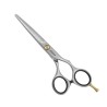Forbici Jaguar Pre Style Comfort Slice 5.5