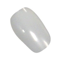 Ongles Steinhart Mod. Shorty Steinhart - 1