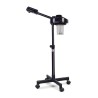 Vaporizzatore facciale ALDO B Mirplay - 1