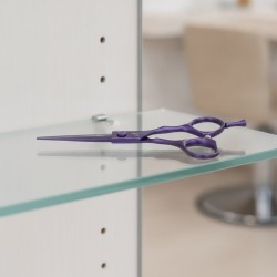 Tijera Corte 5,5" Amatist Eurostil - 2