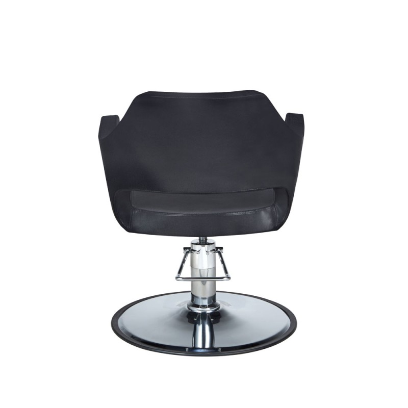 Sillón profesional Misty Mirplay - 1