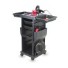 Servicewagen Lenny Mirplay - 1