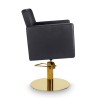 Sillón profesional Dora B GR Mirplay - 1