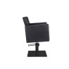 Sillón profesional Dora BS Mirplay - 1