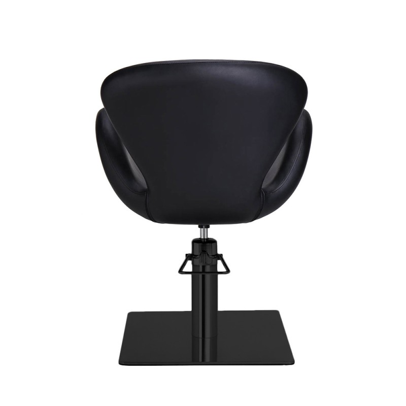 Sillón profesional Chloe BS Mirplay - 1