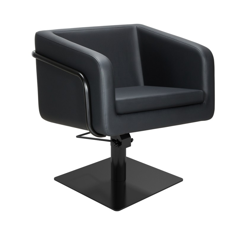 Sillón profesional Egan B S Mirplay - 1