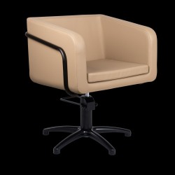 Sillón profesional Egan B F Mirplay - 1