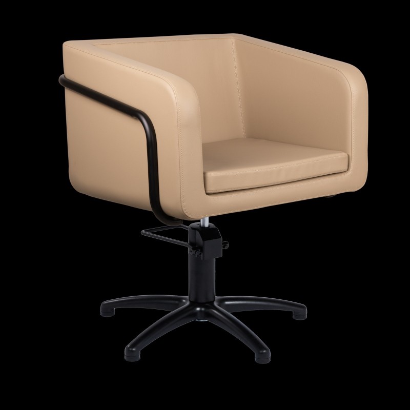 Sillón profesional Egan B F Mirplay - 1