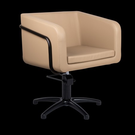 Sillón profesional Egan B F Mirplay - 1