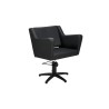 Sillón profesional Anouk B BF Mirplay - 1
