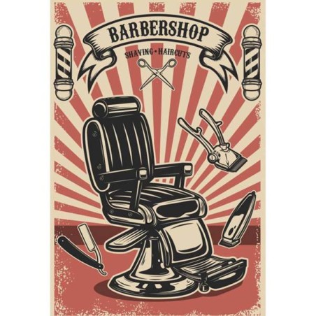 Grembiule Barber Armchair (120x160) Mix - 1