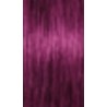 Schwarzkopf Igora Royal — Ton 0-89